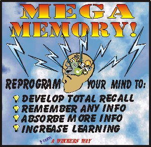 MEMORY / STUDY
